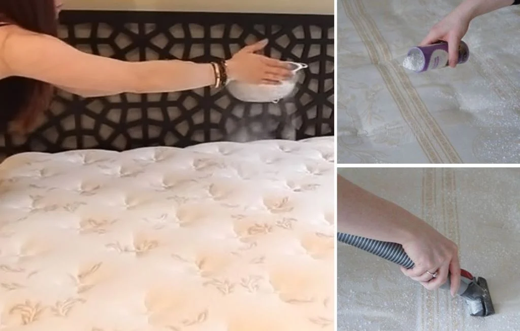Clean A Mattress Clean A Mattress