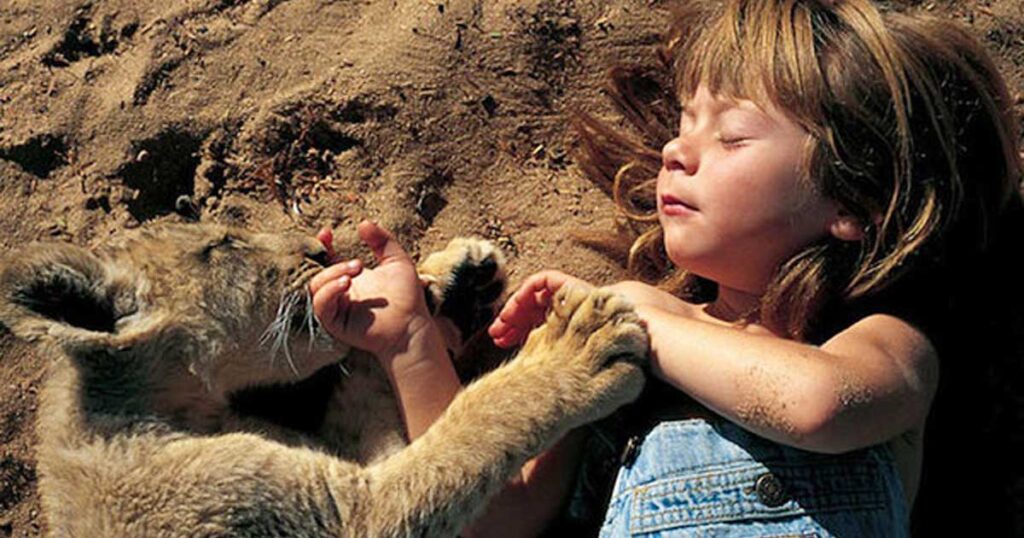 Tippy wild animals Tippy wild animals