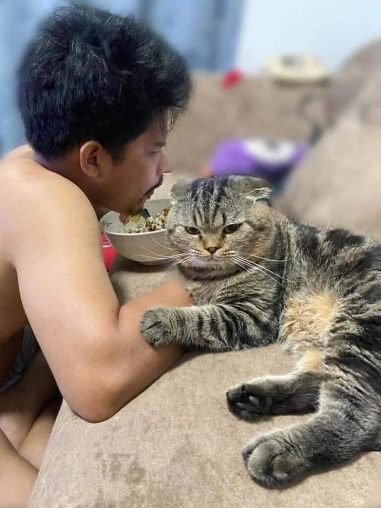 chat vole mari nasrin hami 028