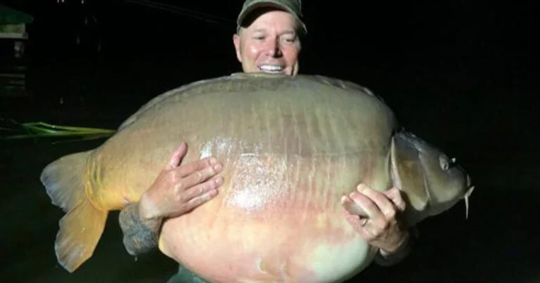 pecheur attrape grosse carpe 51 kilos martin fb 01