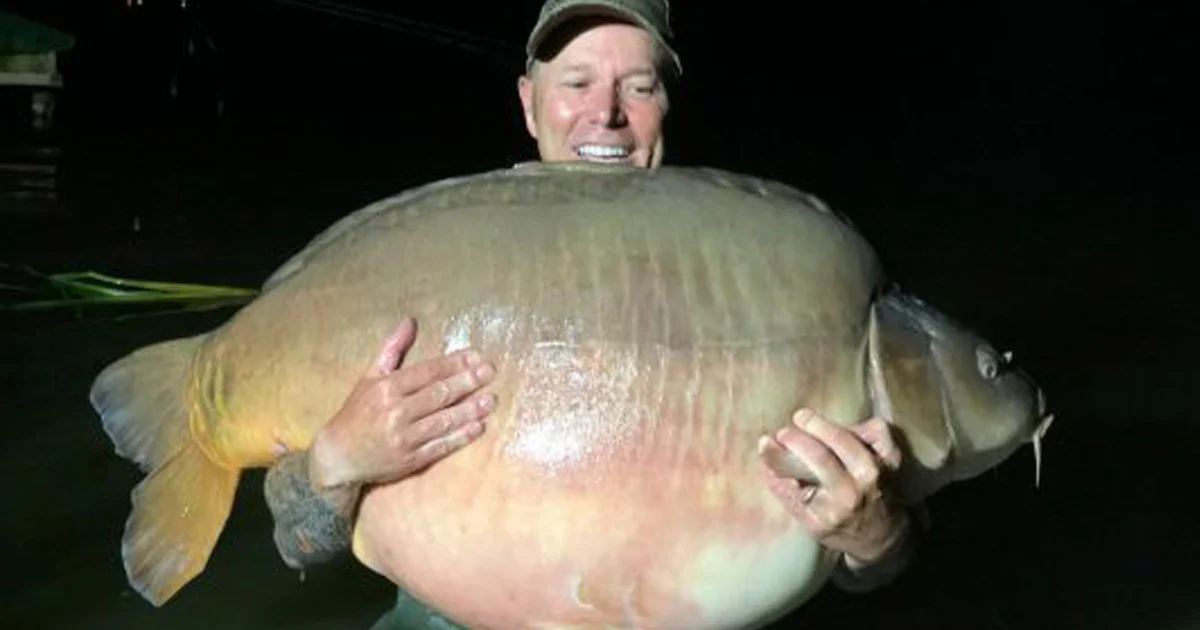 pecheur attrape grosse carpe 51 kilos martin fb 01 pecheur attrape grosse carpe 51 kilos martin fb 01