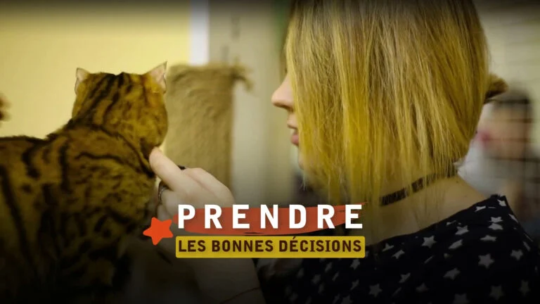 femme chat
