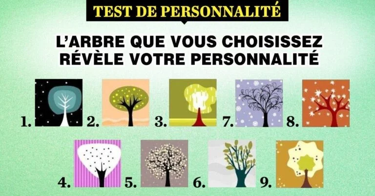 Larbre que votre choix revele votre personnalite 1 1