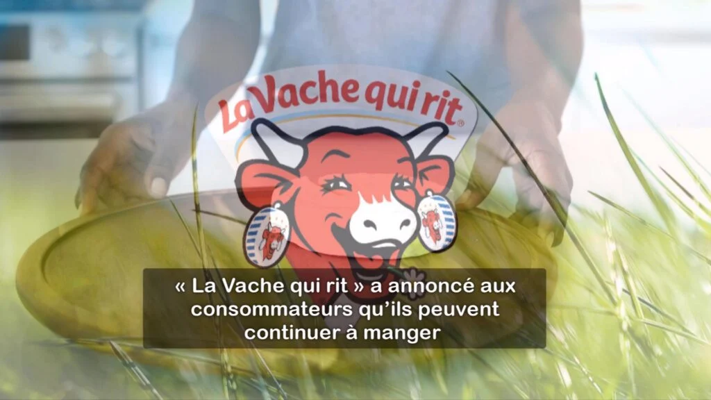 La « vache qui rit »: vous pouvez continuer à manger son fromage sans crainte même si la date sur la boîte est passée