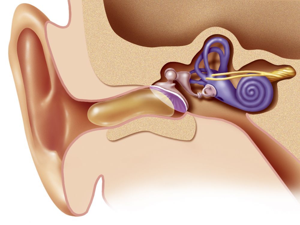 Ce que vous devez savoir sur le cerumen et comment nettoyer vos oreilles en toute securite