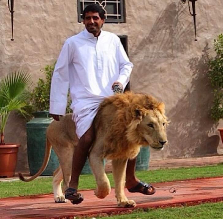 26 Photos montrant le luxe obscene que vivent les milliardaires a Dubai 1