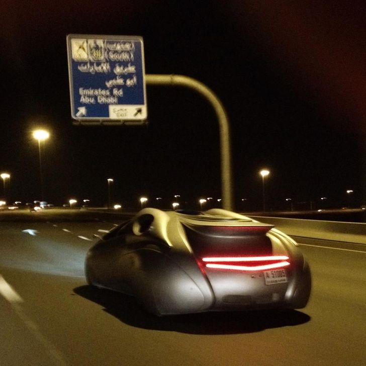 26 Photos montrant le luxe obscene que vivent les milliardaires a Dubai 2