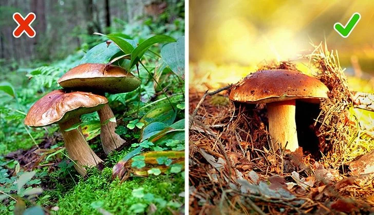8 astuces de survie qui pourraient vous sauver la vie 1