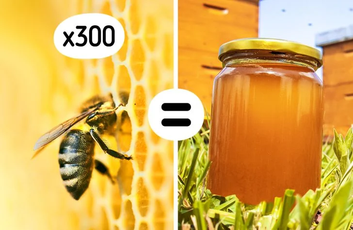 Ce que necessite vraiment la fabrication de 15 produits dusage quotidien 3 Ce que necessite vraiment la fabrication de 15 produits dusage quotidien 3