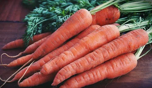 carrottes