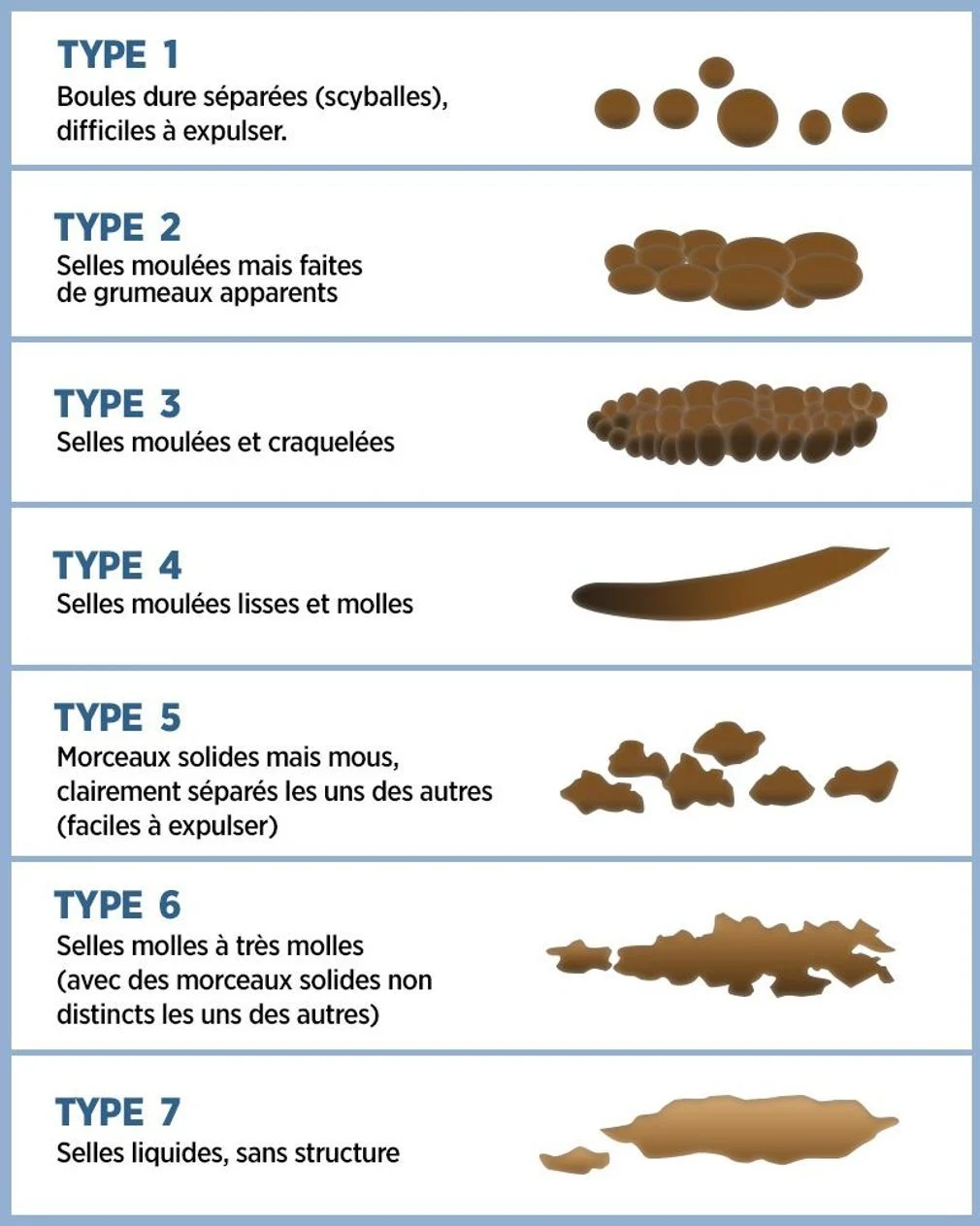 La forme des selles et types