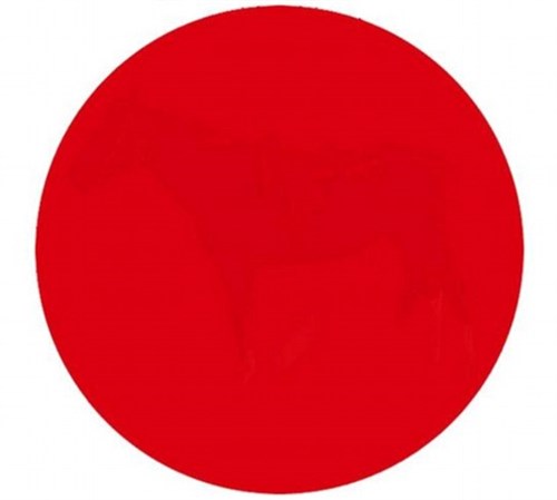 Pouvez vous voir la silhouette cachee dans ce rond rouge 1