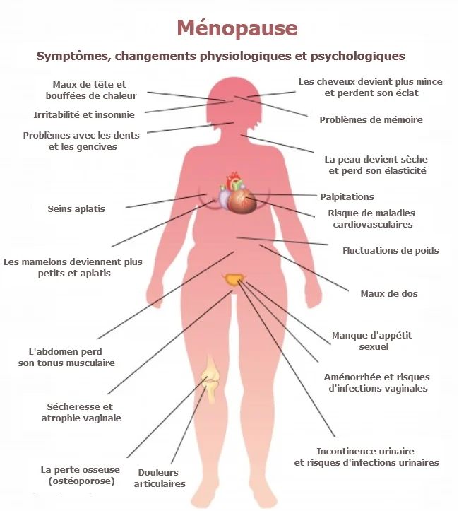 ménopause symtomes consequences changement femme