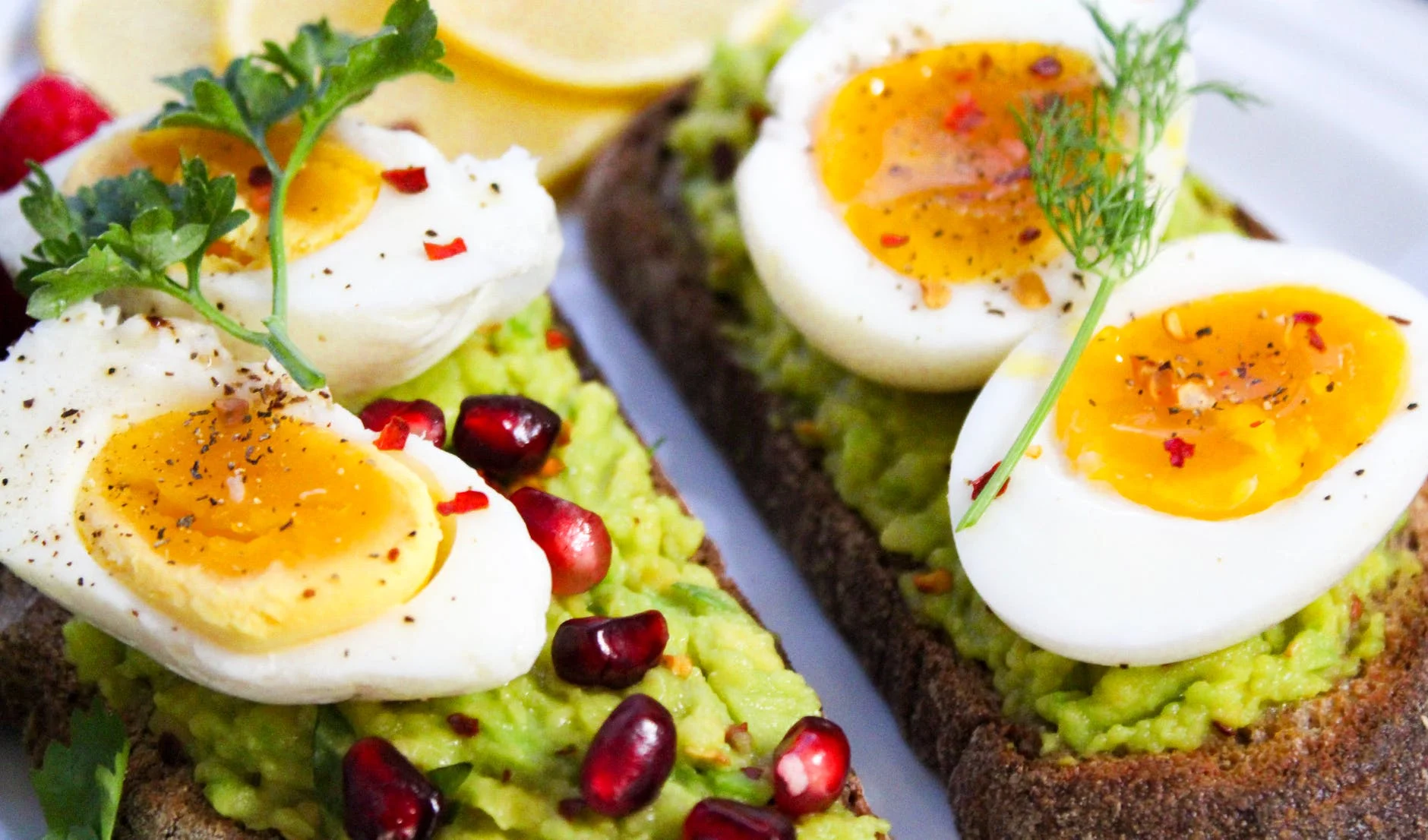 toaste avocat œufs