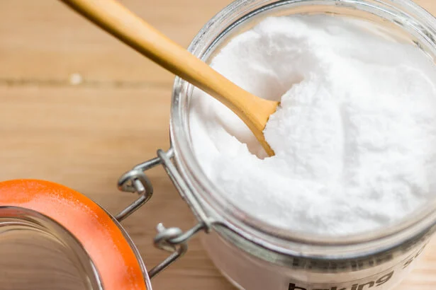 Bicarbonate de soude contre les cafards