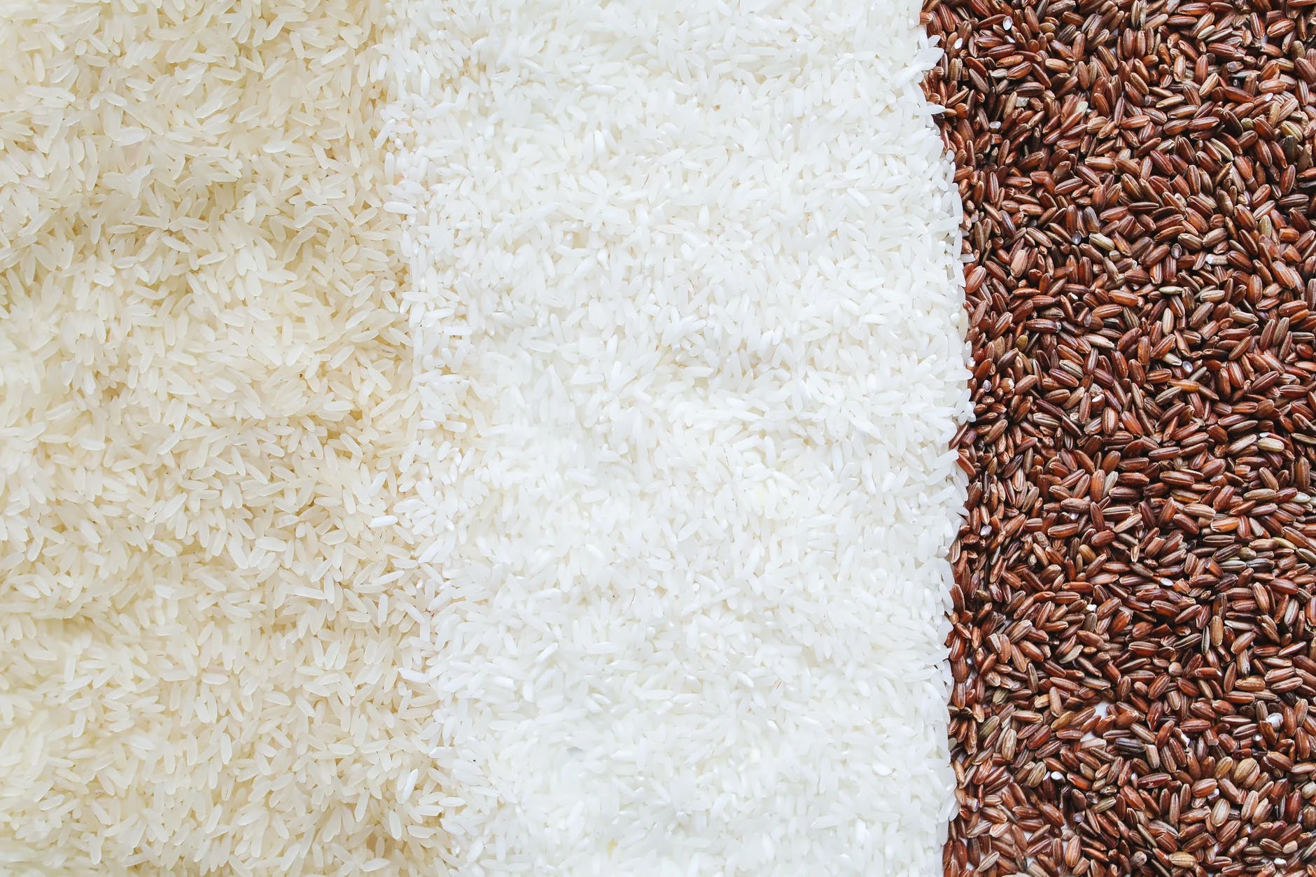 Grains de riz argent