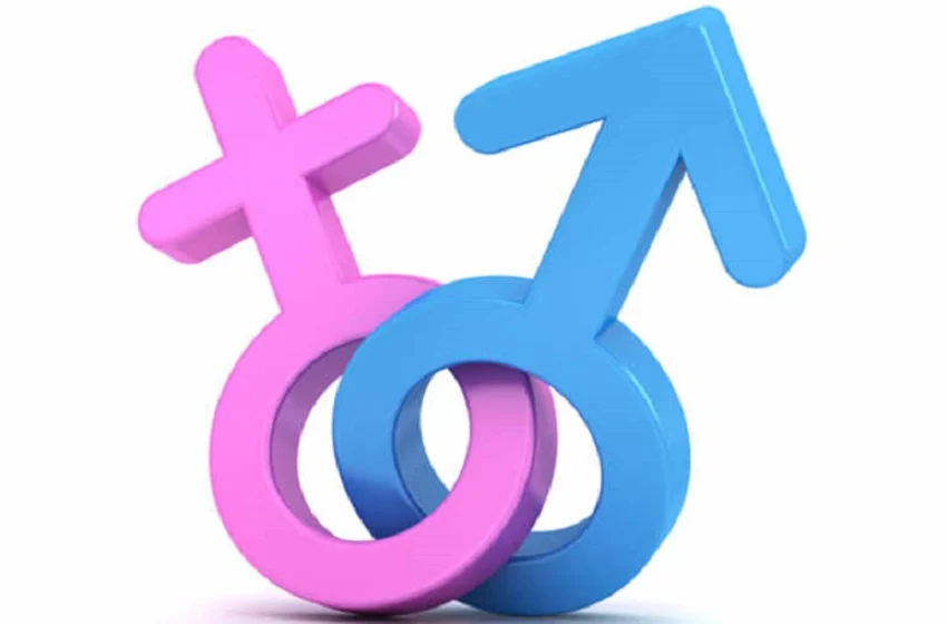 La libido