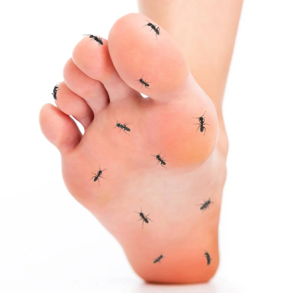 picotements des pieds fourmis 
