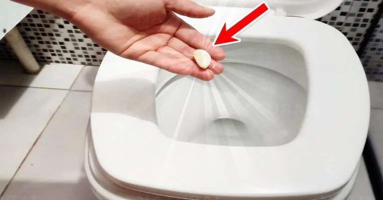 l'ail pour nettoyer les toilettes