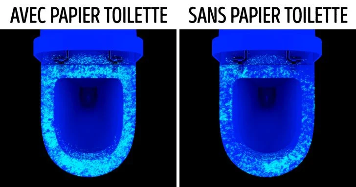 Mettre du papier toilette sur la lunette sert-il vraiment à quelque chose une lunette de toilettes