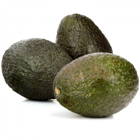 avocat Noir