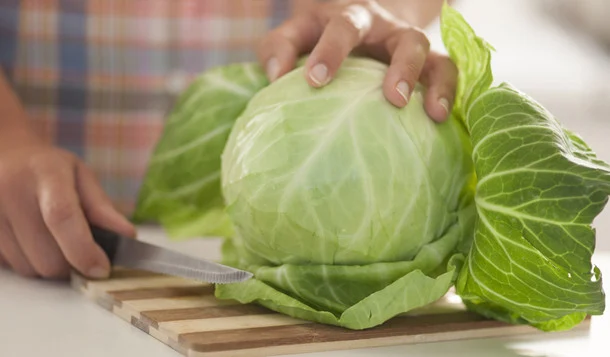 Pourquoi la feuille de chou
