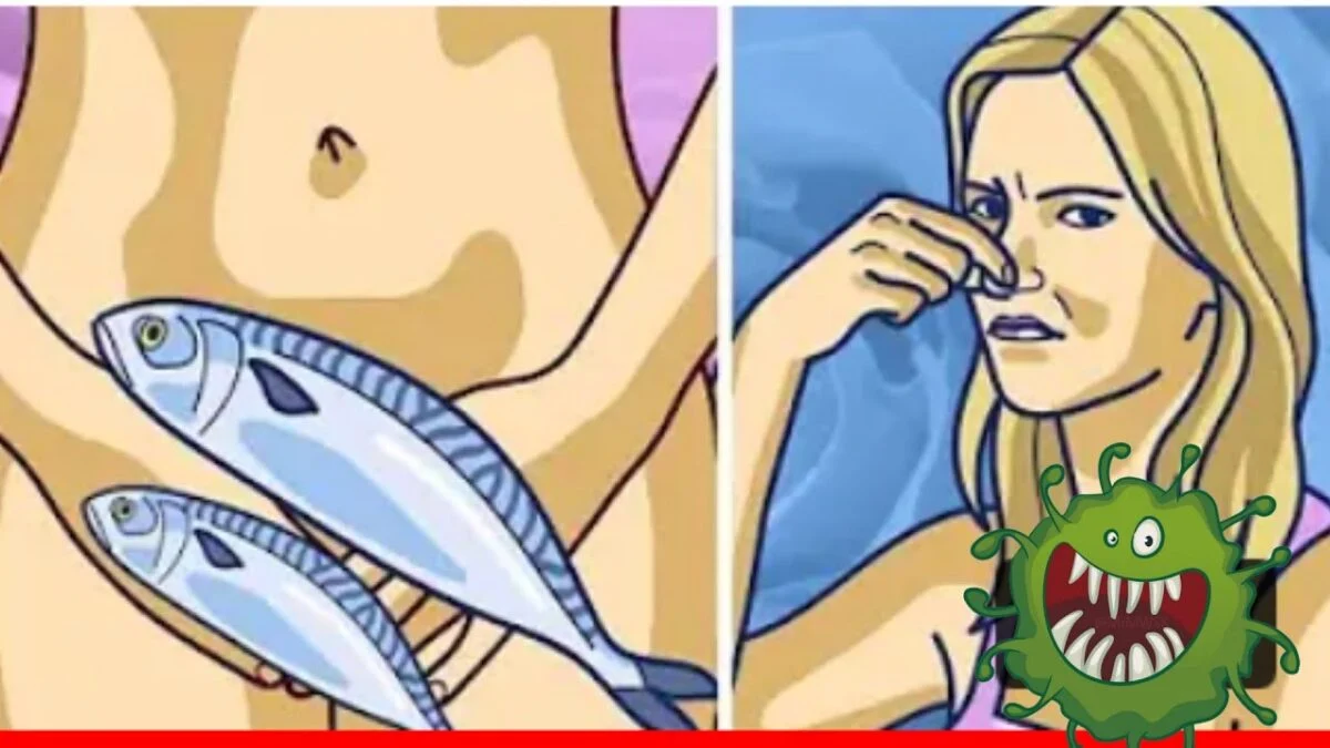 odeurs vaginales odeurs vaginales