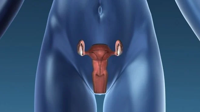 odeurs vaginales