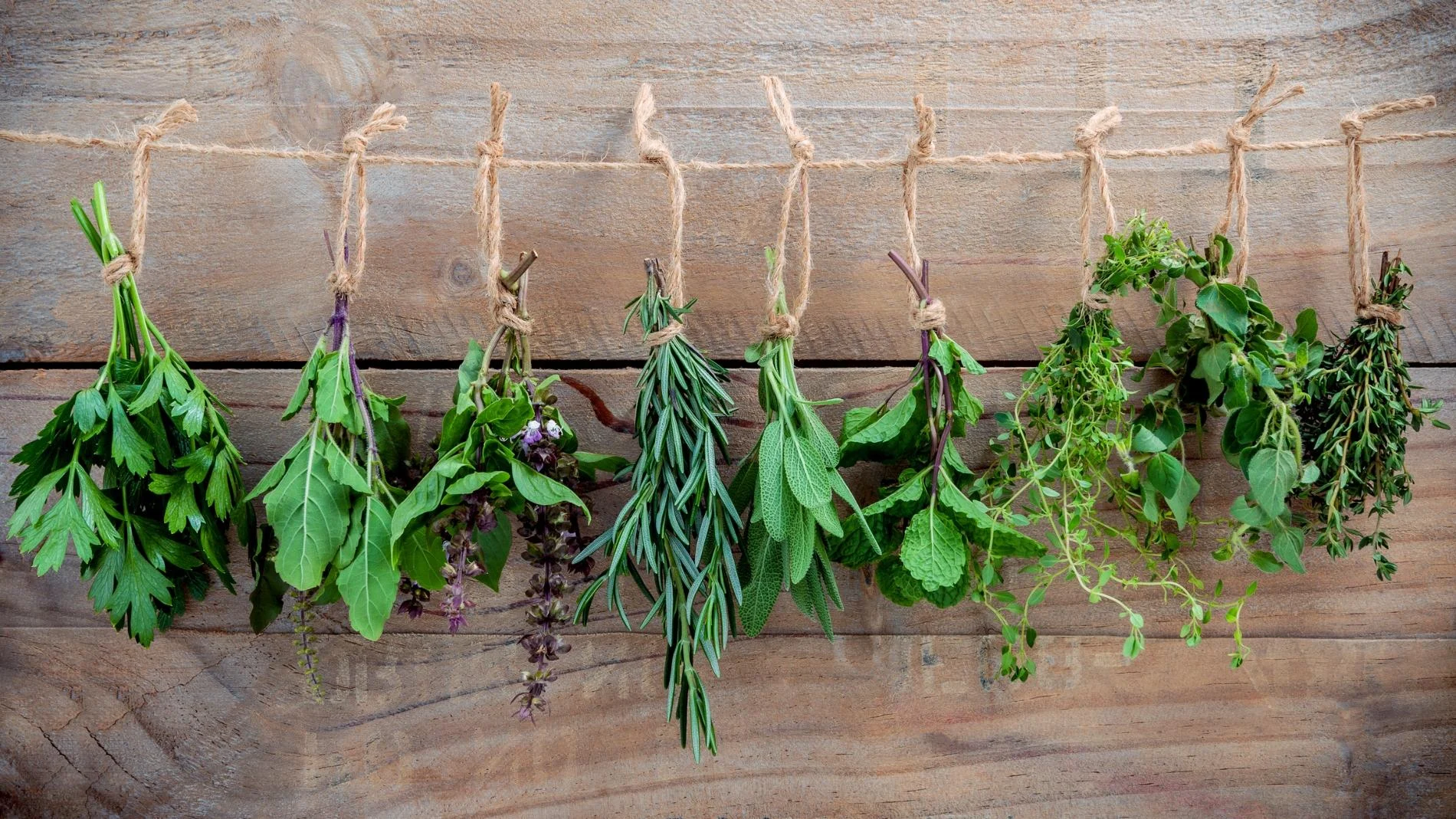 Les herbes et plantes