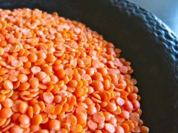 lentilles rouges