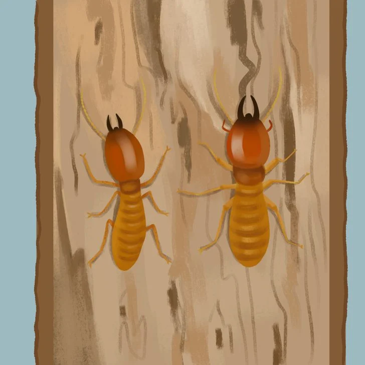 Bruits étranges
