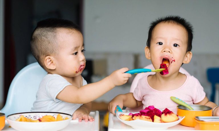 nourriture solide bébé