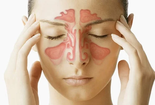 Infections de l'oreille et des sinus