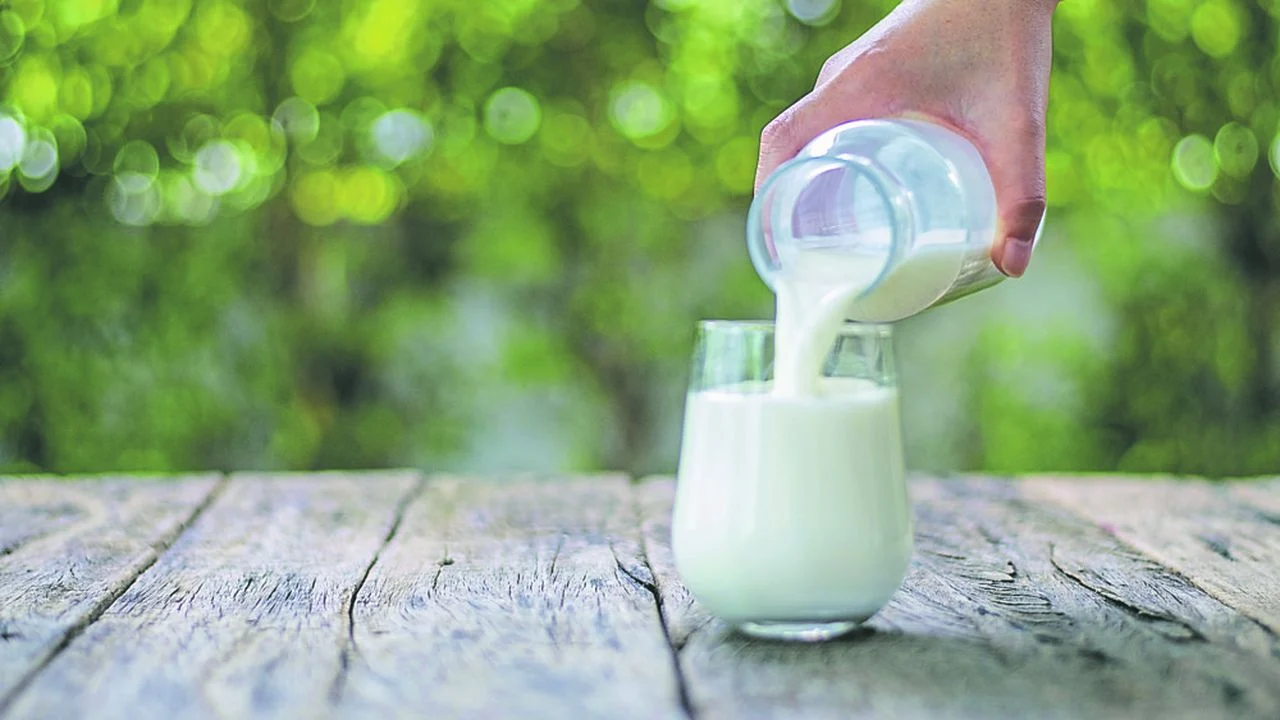Le lait