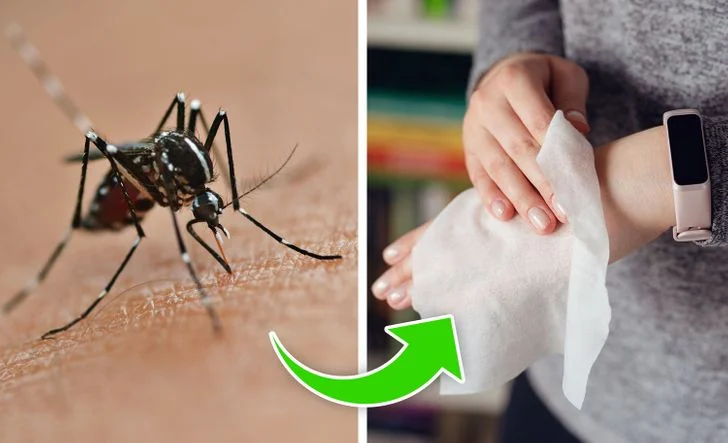Utiliser le lait pour réduire l'inflammation des piqûres d'insectes