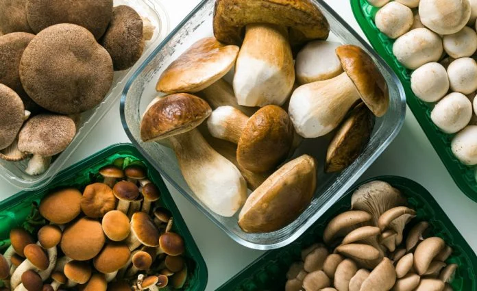 les champignons comestibles