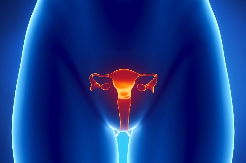 stades du cancer du col de l'utérus
