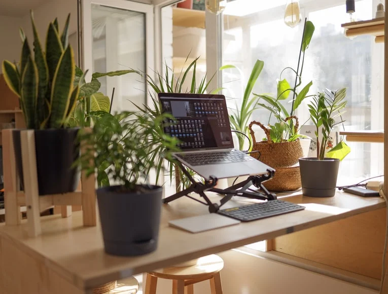 espace confortable et sans encombrement