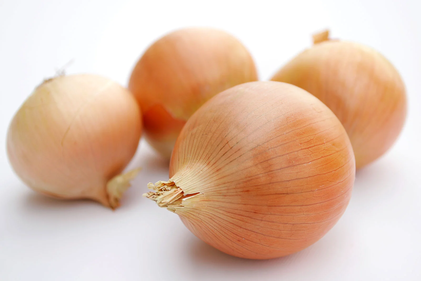 La consommation d’oignons peut améliorer la densité osseuse