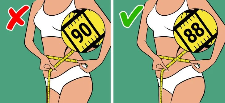 Le système endocrinien