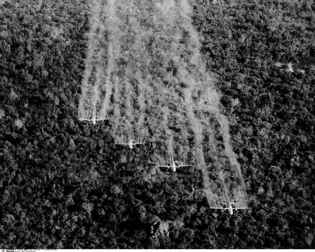 Les effets choquants de l'agent orange sur la santé, un héritage militaire mortel
