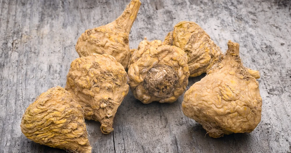 Maca