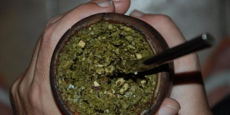 Yerba maté Riche en antioxydants et nutriments