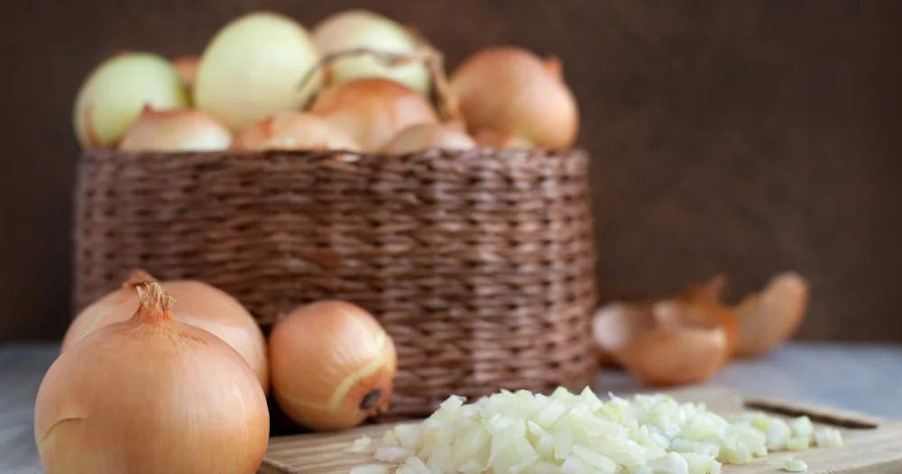 Un vrai concentré de nutriments