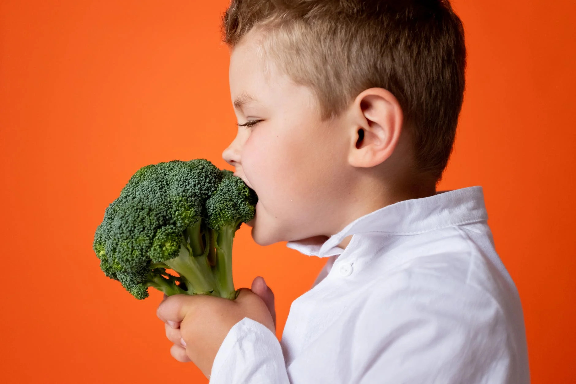 Ce que nous devrions faire, comme société et comme parents