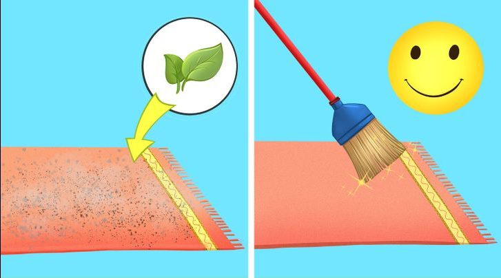 Éliminez la poussière et les odeurs des tapis avec des feuilles de thé séchées