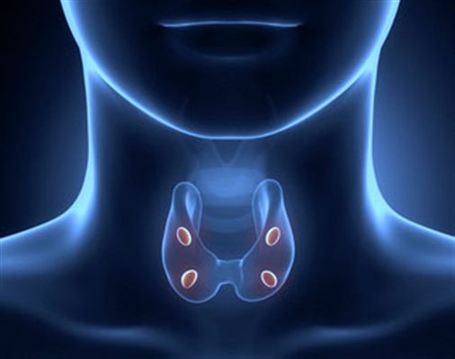 Hyperparathyroïdie