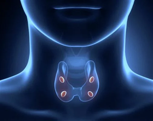 Hyperparathyroïdie