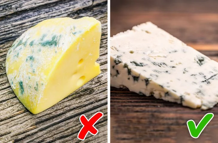 Il existe des aliments contenant des moisissures que notre corps peut digérer facilement