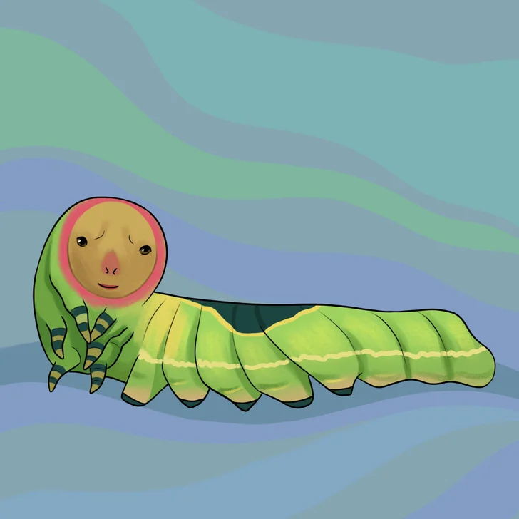 La chenille
